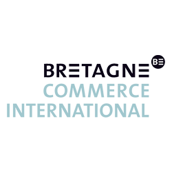 More about BCI
